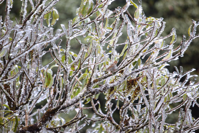 bang gia tuyet dep phu kin dinh deo o quy ho du khach thich thu tao dang chup anh