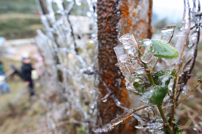 bang gia tuyet dep phu kin dinh deo o quy ho du khach thich thu tao dang chup anh