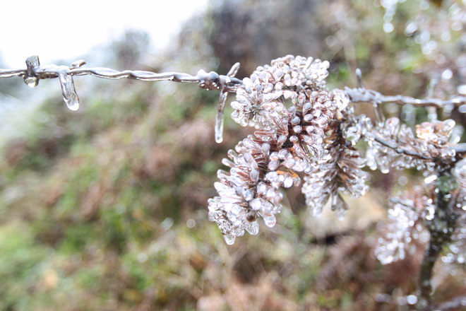 bang gia tuyet dep phu kin dinh deo o quy ho du khach thich thu tao dang chup anh