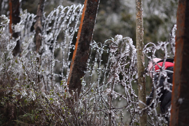 bang gia tuyet dep phu kin dinh deo o quy ho du khach thich thu tao dang chup anh