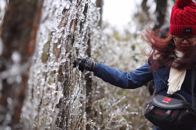 bang gia tuyet dep phu kin dinh deo o quy ho du khach thich thu tao dang chup anh