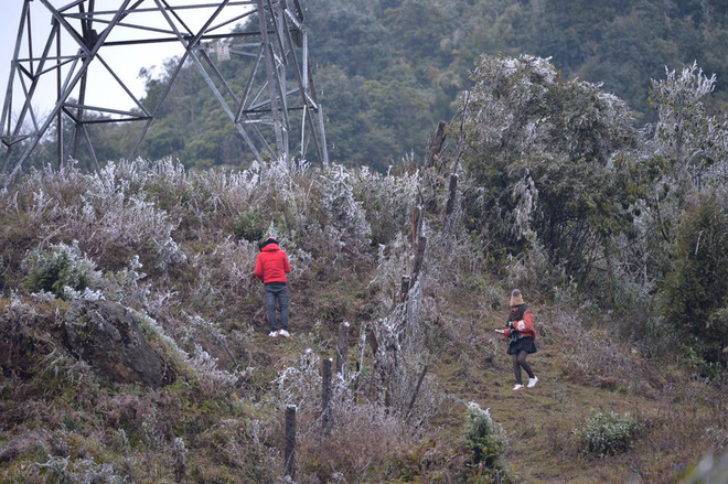 bang gia tuyet dep phu kin dinh deo o quy ho du khach thich thu tao dang chup anh