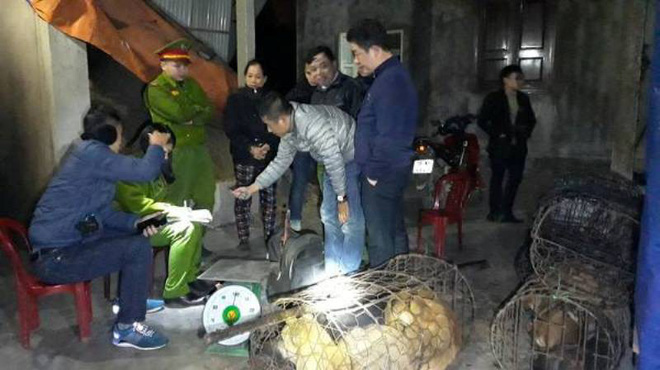 ha tinh tom gon 4 doi tuong di cau trom hang tram con cho