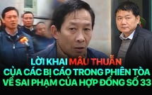 loi khai mau thuan ve hop dong so 33 trong vu xu ong dinh la thang va cac dong pham