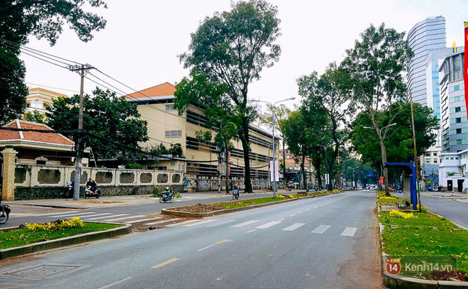 chum anh nguoi sai gon dat hoa hong tren goc nhung hang cay xanh bi don ha o duong ton duc thang