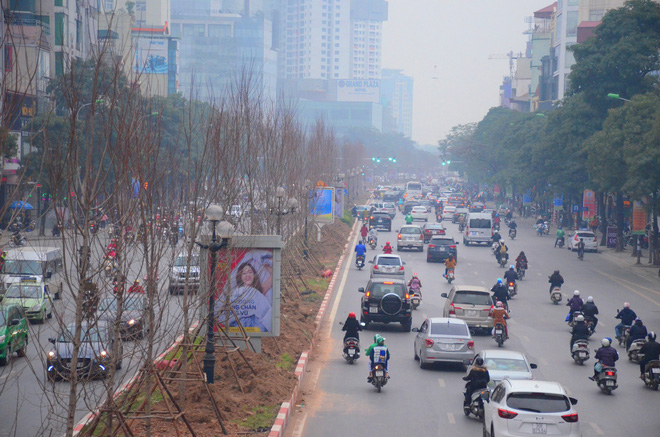 chum anh tan thay hang tram cay phong la do moi duoc trong tren pho tran duy hung o ha noi