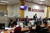 agribank bao lai nam 2017 hon 5000 ty dong