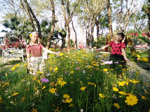 nhieu hoat dong an tuong mung dang mung xuan ky hoi nam 2019 tai co do hue