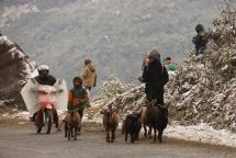 ngay 12 bac bo ret dam