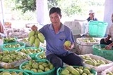 trai ngon mien tay trung gia tet