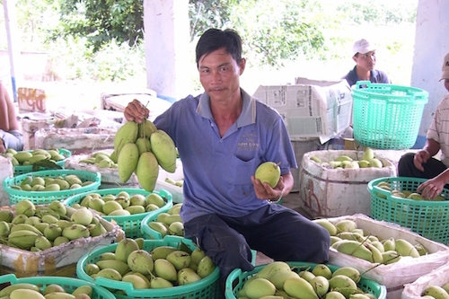 trai ngon mien tay trung gia tet