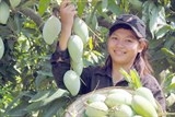 Cần cải cách thể chế để xuất khẩu nông sản 'hái quả ngọt'