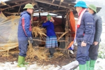 ngay 162 mien nui phia bac co noi ret duoi 8 do c