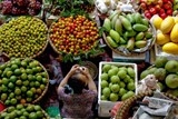 5 lĩnh vực nông sản Việt Nam có cơ hội lớn với TPP