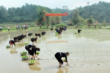 den thai nguyen thuong thuc ngay hoi xuong dong dac sac