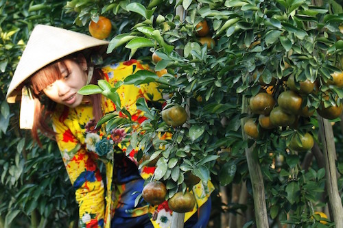 khi nha nong khong de kiem tien chat phac