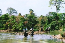 tet nguyen dan dak lak thu hut hon 80 nghin luot khach