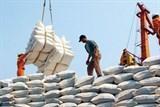 Năm 2016 Việt Nam vẫn chủ yếu xuất khẩu gạo sang Trung Quốc