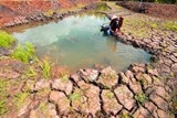 Khi Thái Lan, Lào nắn dòng Mekong, hạn hán khắc nghiệt dồn xuống Việt Nam