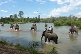 Dòng Sêrêpốk hùng vĩ giờ giống như cái... ao làng