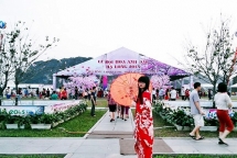 le hoi hoa anh dao ha long 2016 tai quang ninh