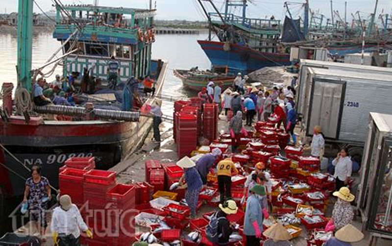 ngu dan xong bien dau nam