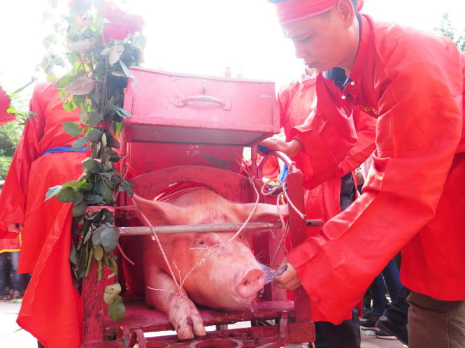 le hoi chem lon o bac ninh nay da khac xua