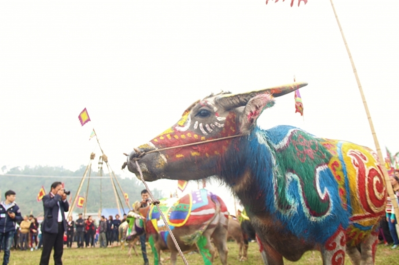 nhung hinh anh an tuong tren minh nguoi bancua nha nong tai le hoi tich dien