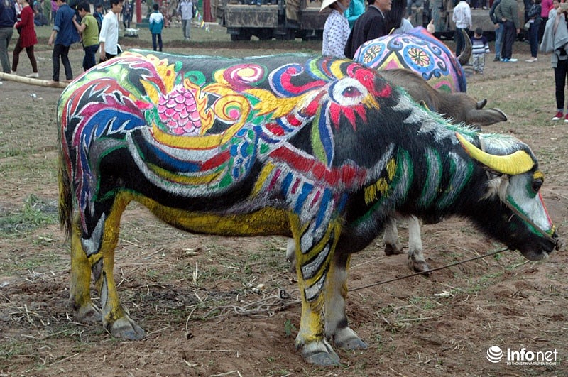 nhung hinh anh an tuong tren minh nguoi bancua nha nong tai le hoi tich dien