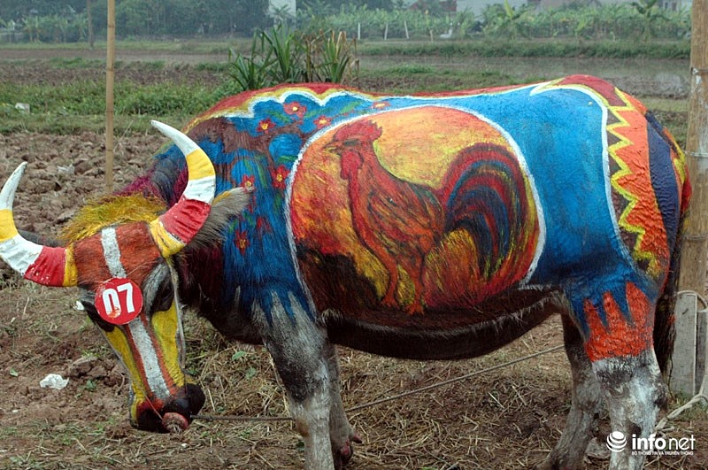 nhung hinh anh an tuong tren minh nguoi bancua nha nong tai le hoi tich dien