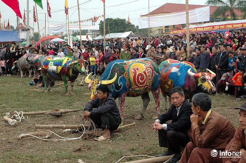 nhung hinh anh an tuong tren minh nguoi bancua nha nong tai le hoi tich dien