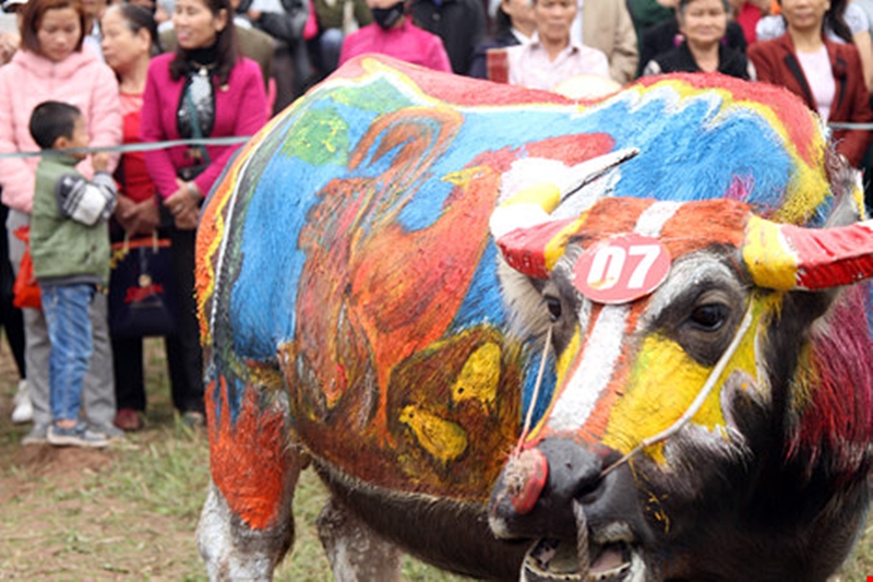 nhung hinh anh an tuong tren minh nguoi bancua nha nong tai le hoi tich dien