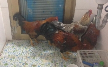 nhung tinh huong va cau chuyen dac biet chi tet moi co