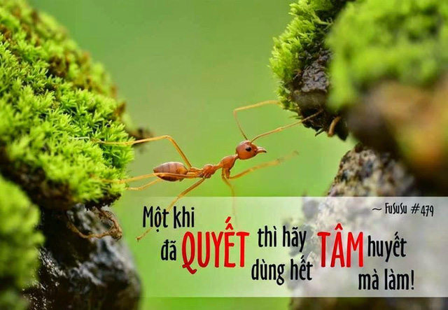 neu muon hoan thanh viec gi do hay bat tay vao lam ngay tu bay gio