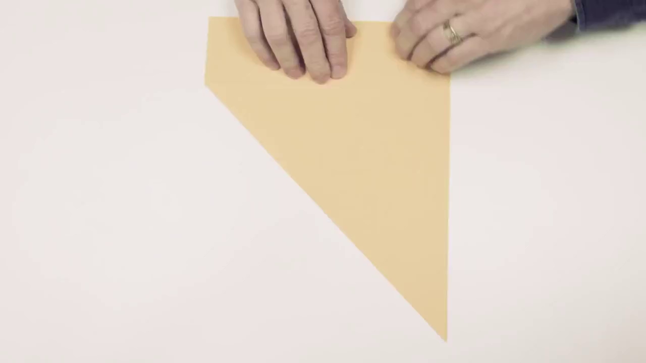 dai hoc harvard tung video chi cho ban cach gap may bay giay lap ky luc the gioi