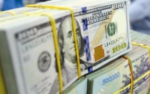 ty gia tang la phu hop tren moi le