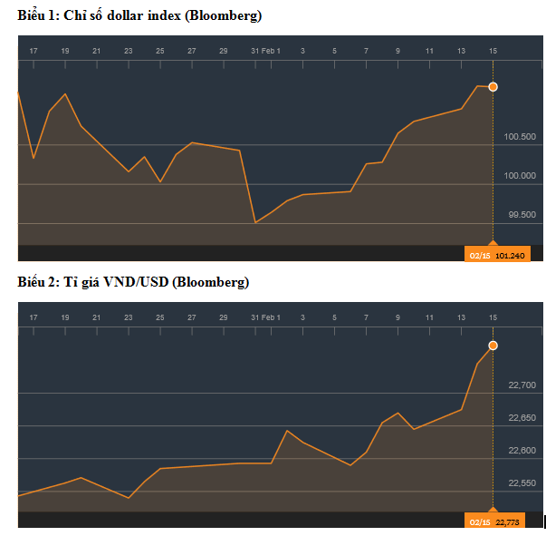 ty gia tang la phu hop tren moi le