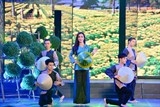 nhieu hoat dong van hoa nghe thuat phuc vu apec 2017