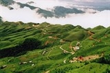 dua mau son tro thanh khu du lich quoc gia