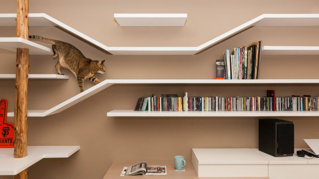 neu co y dinh xay mot can ho meo ban co the tham khao nhung kien truc duoi day