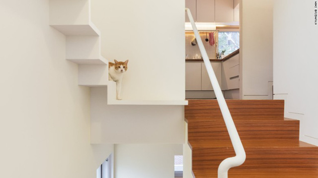 neu co y dinh xay mot can ho meo ban co the tham khao nhung kien truc duoi day