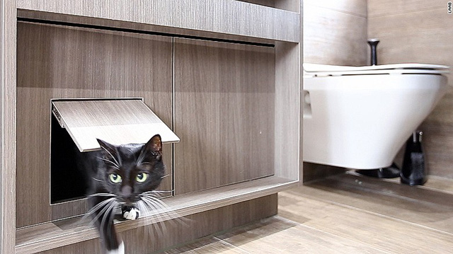 neu co y dinh xay mot can ho meo ban co the tham khao nhung kien truc duoi day