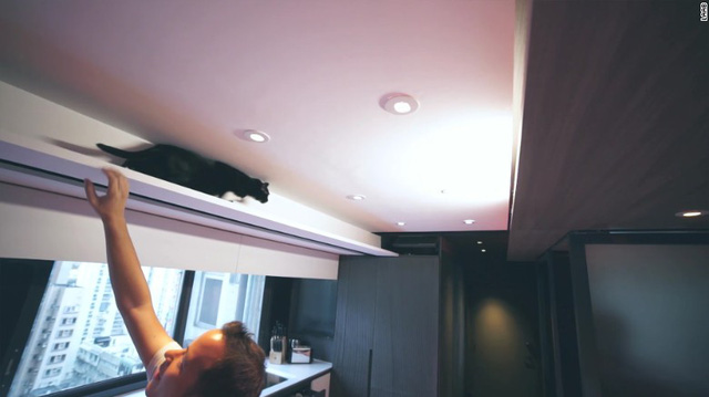 neu co y dinh xay mot can ho meo ban co the tham khao nhung kien truc duoi day