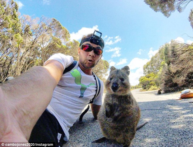 quokka loai dong vat hanh phuc nhat the gioi cung nghien song ao chang khac gi con nguoi