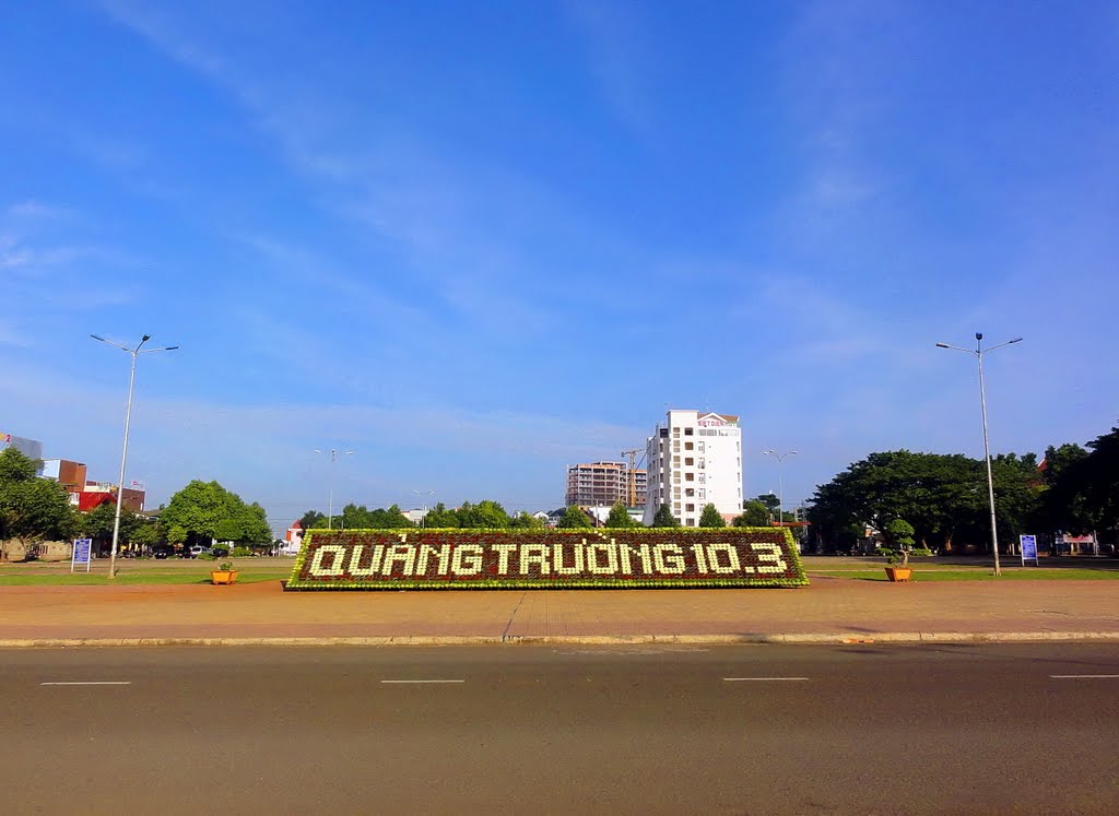 ban phao hoa trong le hoi ca phe buon ma thuot lan thu 6