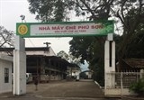 cong ty che phu da xay dung thuong hieu manh tu bup che chat luong cao