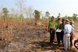 xay ra 12 vu chay tai khu rung phong ho dau tieng trong dip tet
