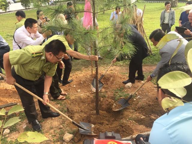 soi noi tet trong cay doi doi nho on bac ho tai co do hue