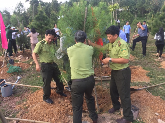 soi noi tet trong cay doi doi nho on bac ho tai co do hue