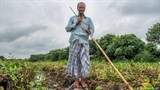 Vườn nổi – mô hình ứng phó với biến đổi khí hậu tại Bangladesh